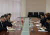 Дипломаты Туркменистана и Турции обсудили актуальные вопросы сотрудничества
