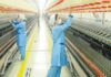 Туркменский текстильный комплекс «Балкандокма» увеличил производство пряжи втрое в 2024 году