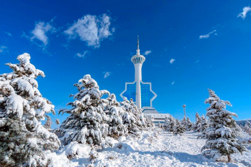 Фотоклуб &laquo;Ферула&raquo; в Туркменистане отмечает своё десятилетие