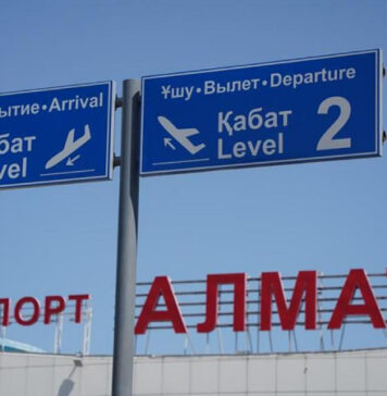 Ребенок в критическом состоянии прилетел из Дели: в аэропорту Алматы объяснили, почему не пустили реанимобиль