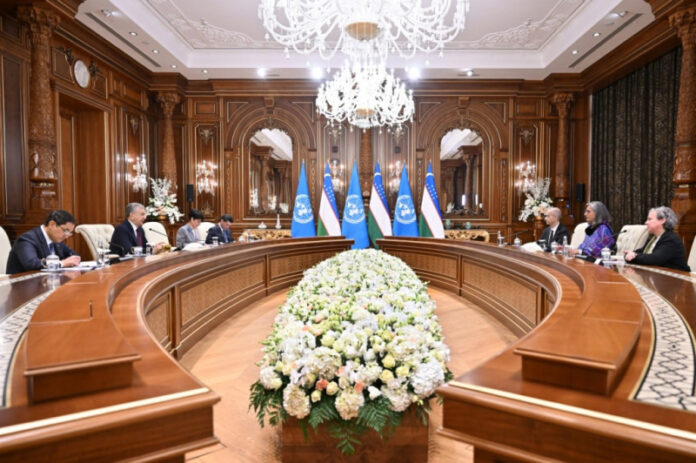 prezident-obsudil-s-predstaviteljami-oon-zelenye-goroda-opustynivanie-i-cifrovizaciju-torgovli-6959f10.jpg