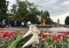 Как отметили в Ташкенте День памяти и почестей — фото