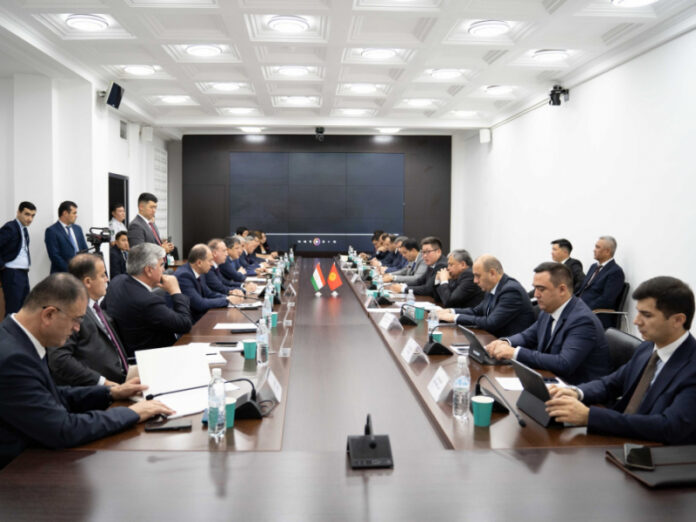 kyrgyzstan-i-tadzhikistan-budut-obmenivatsja-opytom-v-sfere-nalogooblazhenija-c2ee2c7.jpg