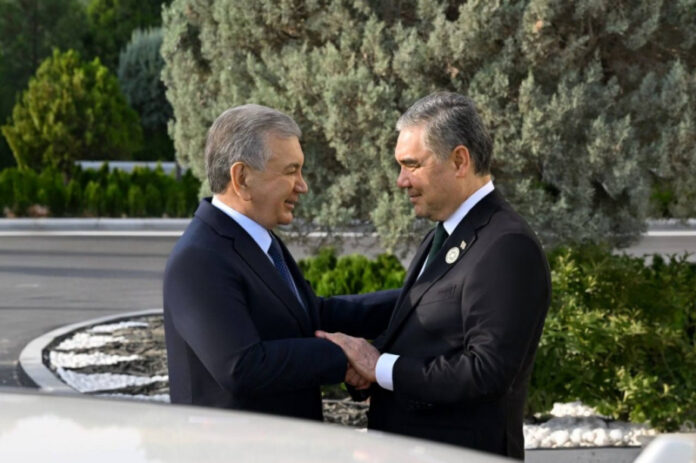 shavkat-mirzijoev-provel-peregovory-s-gurbanguly-berdymuhamedovym-ca4c4c6.jpg