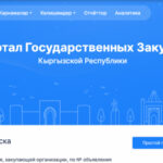 Счетная палата выявила серьезные проблемы в работе портала госзакупок