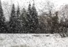 В Туркменистане ожидаются дожди со снегом