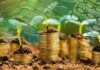 Казахстан заинтересован в расширении экспорта сельхозпродукции в Турцию