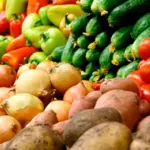 На севере Туркменистана завершена посадка лука, моркови и капусты