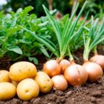 В Туркменистане планируют получить богатый урожай овощных культур
