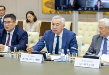 Стало известно, на чем зарабатывает большинство казахстанцев