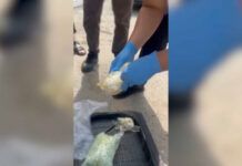 Крупную партию наркотиков изъяли в Акмолинской области