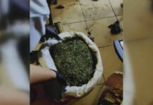 Около 20 кг марихуаны обнаружили на рынке Актау