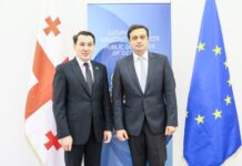 Посол Туркменистана в Грузии встретился с Народным защитником страны
