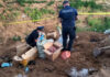 Шприцы и пробирки с биоматериалами нашли на полигоне в ЗКО