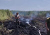 Сухостой горит в области Абай