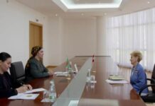 Туркменистан и Австрия обсудили развитие культурного сотрудничества