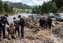 15 килограммов золота и ущерб в 766 млн: в ВКО осудили черных старателей