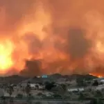 Число жертв лесного пожара на юге Испании возросло до 12 человек