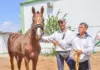 Итальянский ученый Карло Липполис продолжает раскопки в Туркменистане