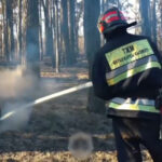 Пожар в «Семей орманы» локализован