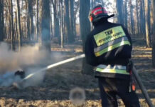 Пожар в «Семей орманы» локализован