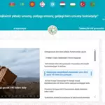 Туркменский язык добавлен в число доступных на сайте проекта TÜDSES