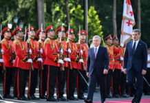 В Тбилиси проходят переговоры президентов Узбекистана и Грузии — фото