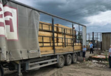 Зараженную древесину пытались завезти в СКО