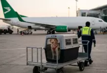 Что нужно знать при вывозе домашнего животного из Туркменистана