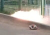 Пятилетнего ребёнка ударило током во дворе Астаны