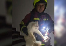 Полиция расследует дело о пожаре в ЖК Алматы