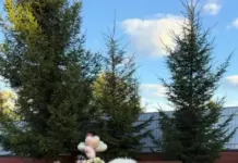 Виктория Дайнеко и Беркели Овезов поделились фотографиями в туркменских нарядах