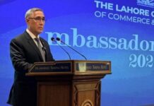 Посол Туркменистана в Пакистане обсудил проекты ТАПИ и ЛЭП ТАП