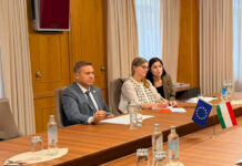 Таджикистан и ЕС обсудили сотрудничество в промышленности