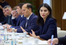 Ташкент нужно развивать, не перегружая его системы — Саида Мирзиёева