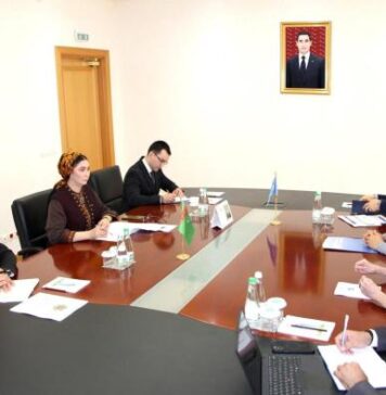 Туркменистан и ООН обсудили подготовку мероприятий высокого уровня