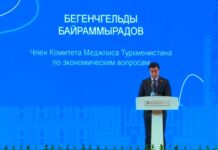 Туркменистан отметил важность энергодиалога Центральная Азия — Китай