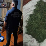 В Аккайынском районе СКО изъяли крупную партию марихуаны