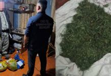 В Аккайынском районе СКО изъяли крупную партию марихуаны