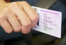 В России водители смогут предъявлять права и техпаспорт через мессенджер Max