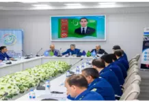 В РУЦ Туркменистана прошел тренинг по управлению рисками в таможенном деле