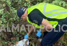 Опасная находка в дачных массивах у гор Алматы заинтриговала полицейских (видео)