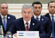 Президент обозначил приоритетные направления сотрудничества в СНГ