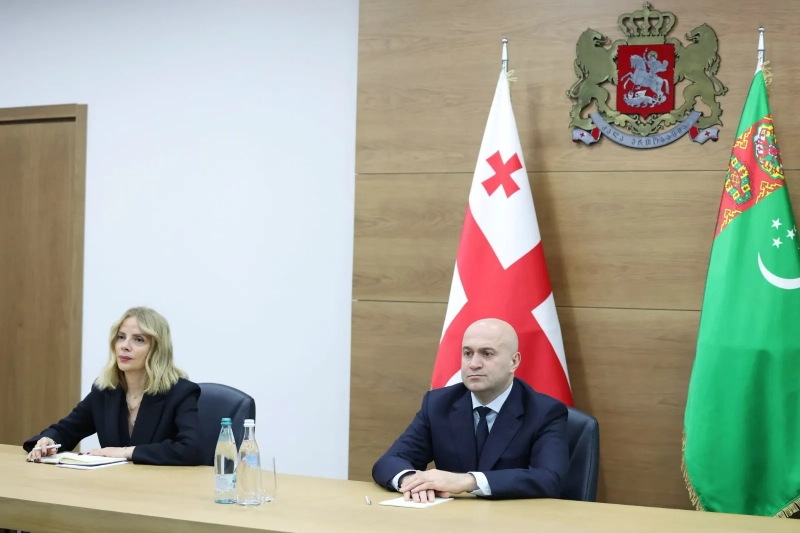 Посол Туркменистана провёл встречу с министром внутренних дел Грузии