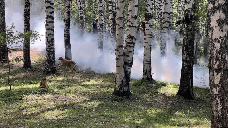 В Казахстане завершат съемки международного фильма о Молле Насреддине